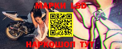 прущие грибы Можайск