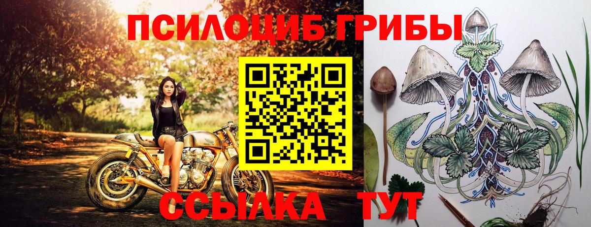 Галлюциногенные грибы GOLDEN TEACHER  Вход с VPN  где можно купить   Псилоцибиновые грибы ЛСД  Тула 