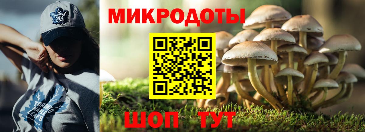 Псилоцибиновые грибы Psilocybine cubensis Тула