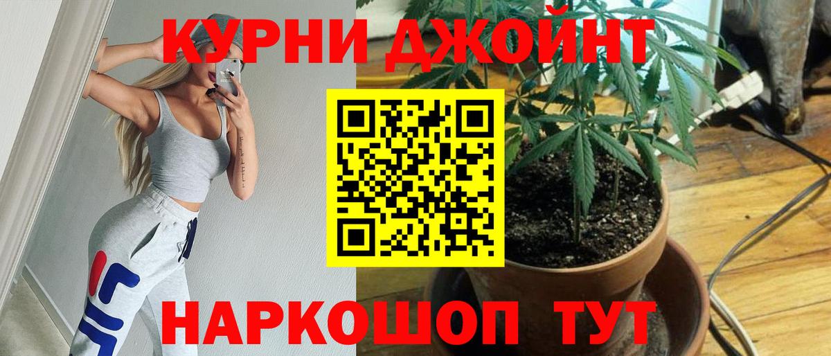 Бошки Шишки AK-47 Тула